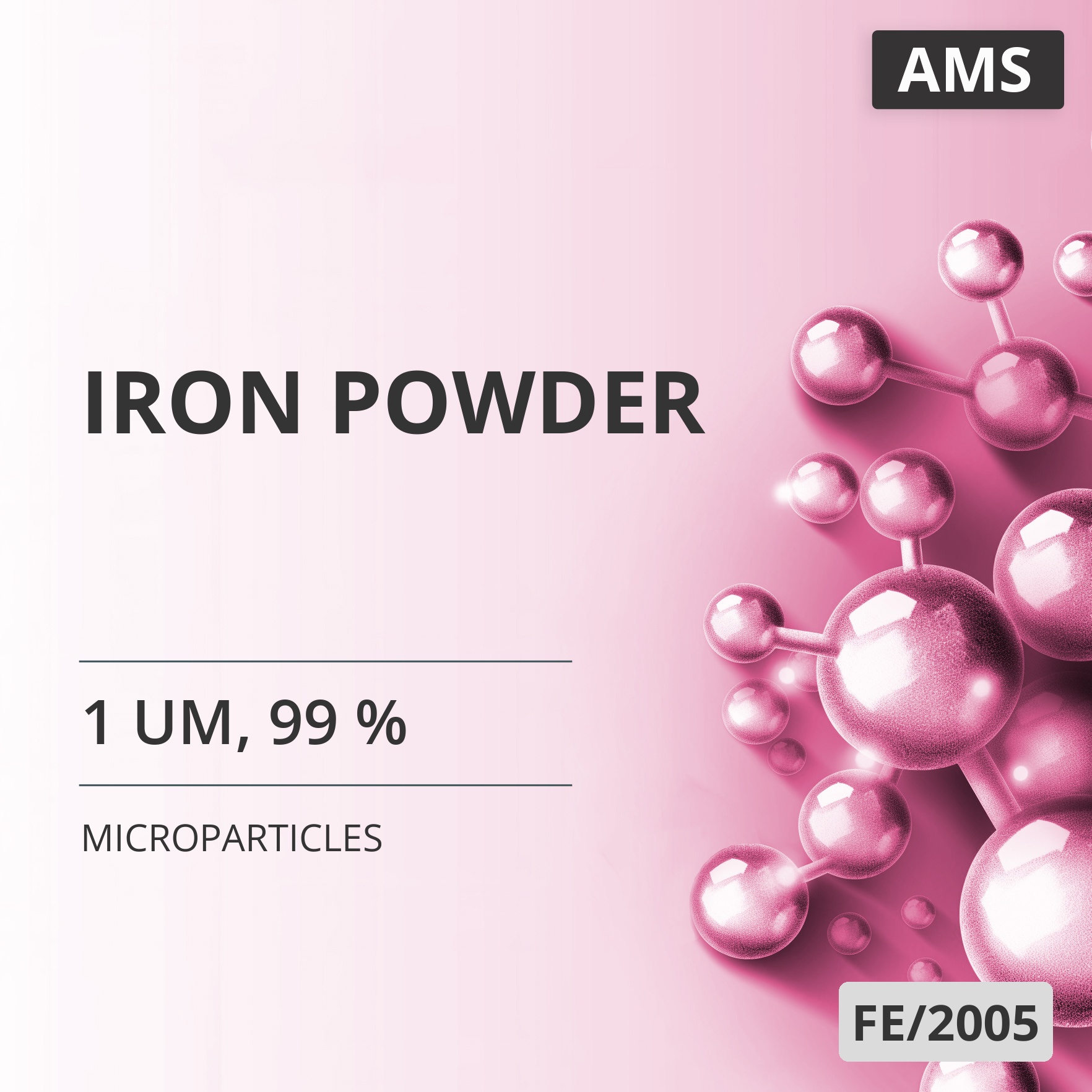 Iron Powder, 1 um, 99 % (FE/2005)